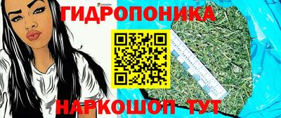 spice Мариинск